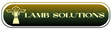 LAMB Solutions
