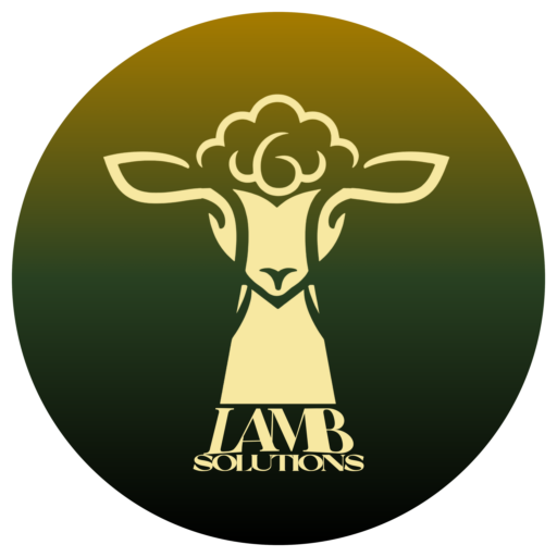 LAMB Solutions